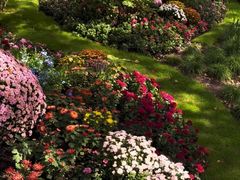 -共青国家森林公园-售票处