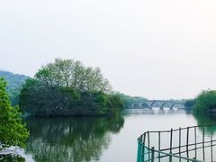 -老头儿油爆虾(星光一期店)