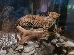 -陕西自然博物馆