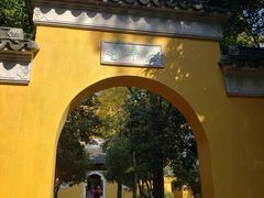 -苏州上方山国家森林公园