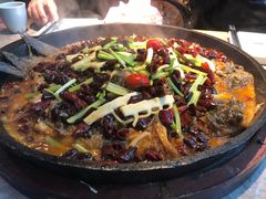 -老板恋上鱼(恒隆广场店)