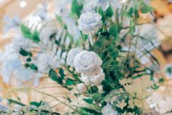 -艾米婚纱&婚礼策划