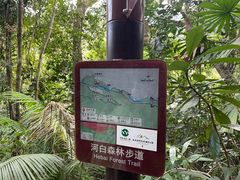 -海南热带雨林国家公园吊罗山景区