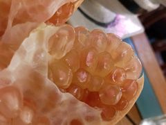 -紫滇源云南生态菜(丹凤街店)