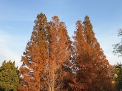 -国家植物园南园