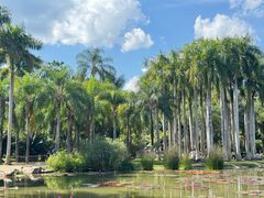 -中国科学院西双版纳热带植物园