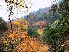 -北京上方山国家森林公园