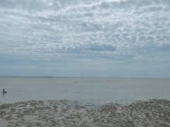 -北海金海湾红树林生态旅游区