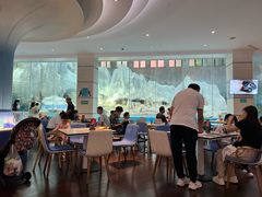 -帝企鹅自助餐厅•儿童岛•真企鹅(长隆企鹅酒店)