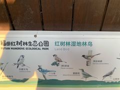 -福田红树林生态公园