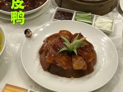 -京粤荟(海王银河科技大厦店)