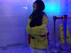 -世界之窗阿尔卑斯冰雪世界