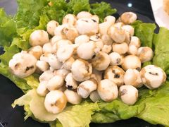 野生珍珠马蹄-东椰·海南椰子鸡火锅(朝阳门店)