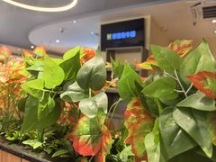 -豪客来牛排(重庆三峡广场步行街1704店)