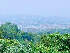 -火炉山森林公园