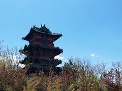 -迎泽公园