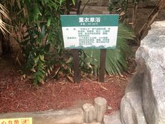 -龙达温泉生态城