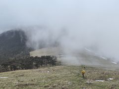 -秦岭风景区