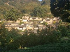 -杨家堂村