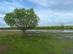 -东寨港红树林旅游区