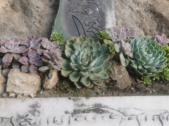 -丽江束河古镇-石莲古寺