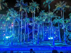 -三亚红色娘子军演艺公园景区
