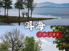 -大理洱海