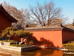 -百脉泉景区