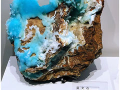 -重庆自然博物馆(新馆)