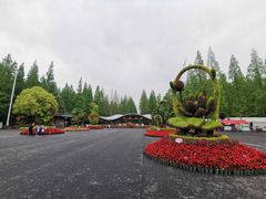 -东平国家森林公园