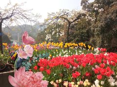 -南山植物园