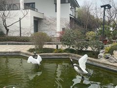-广富林宰相府酒店·水云间