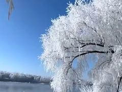 -丁香湖公园