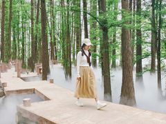-东湖落雁景区