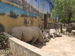 -西安秦岭野生动物园
