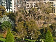 -墨尔本皇家植物园