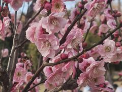 -蜀冈西峰生态公园