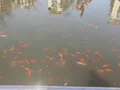 -护国寺小吃(地安门店)