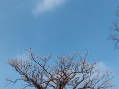 -无锡梅园公园
