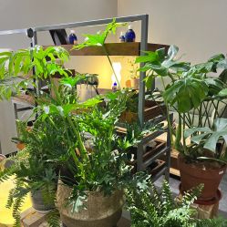 -芳香乐府疗愈空间·SPA·冥想