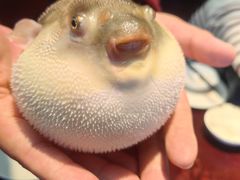 -永安鱼庄·镇江菜(东吴路店)