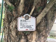 -广州雕塑公园