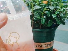 -喜茶(佛山岭南站店)