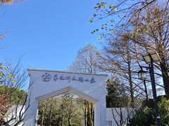 -四明山国家森林公园