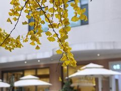 -Beans Solo豆号咖啡(百家湖花园店)