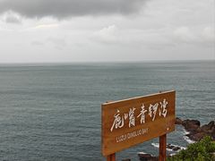-杨梅坑