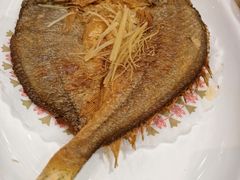 -丰尔粥食·顺德鱼生·干蒸排骨顺德菜(大良分店)