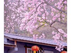 -九皇山景区