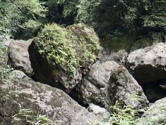 -龙苍沟森林公园