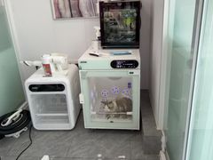 -爱洗澡的猫(望京店)